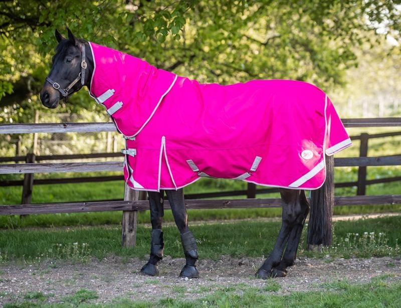 0g Detachable Neck Turnout Rug - Pink