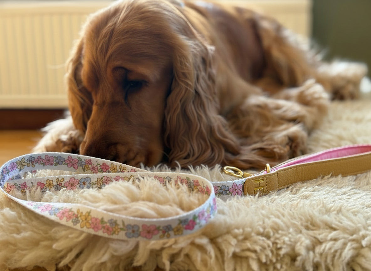 Pastel Petals - Leather Dog Lead