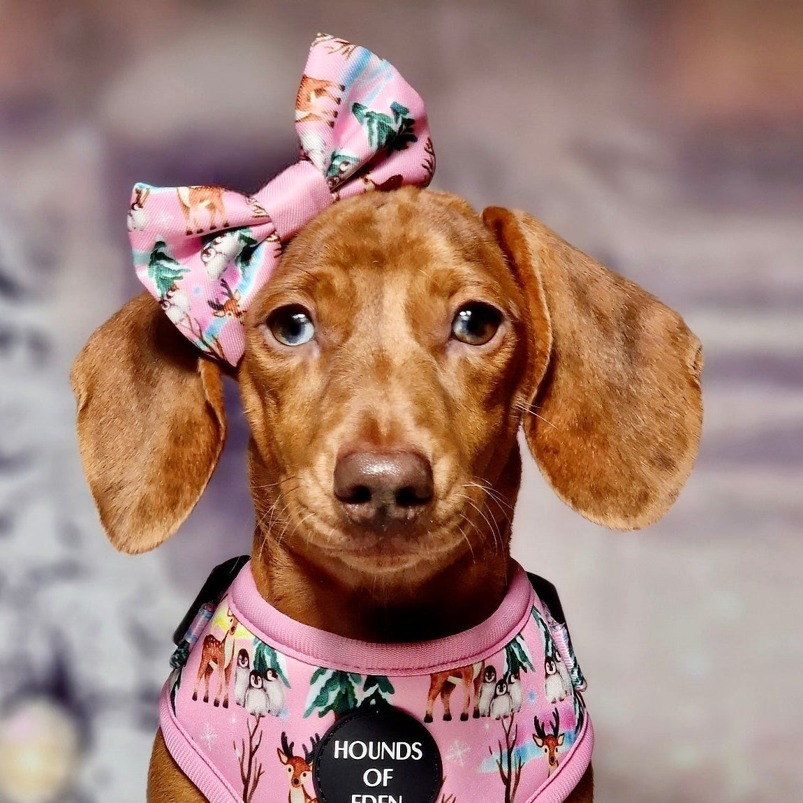 Aurora Nights - Pink Penguin Design Dog Bow Tie