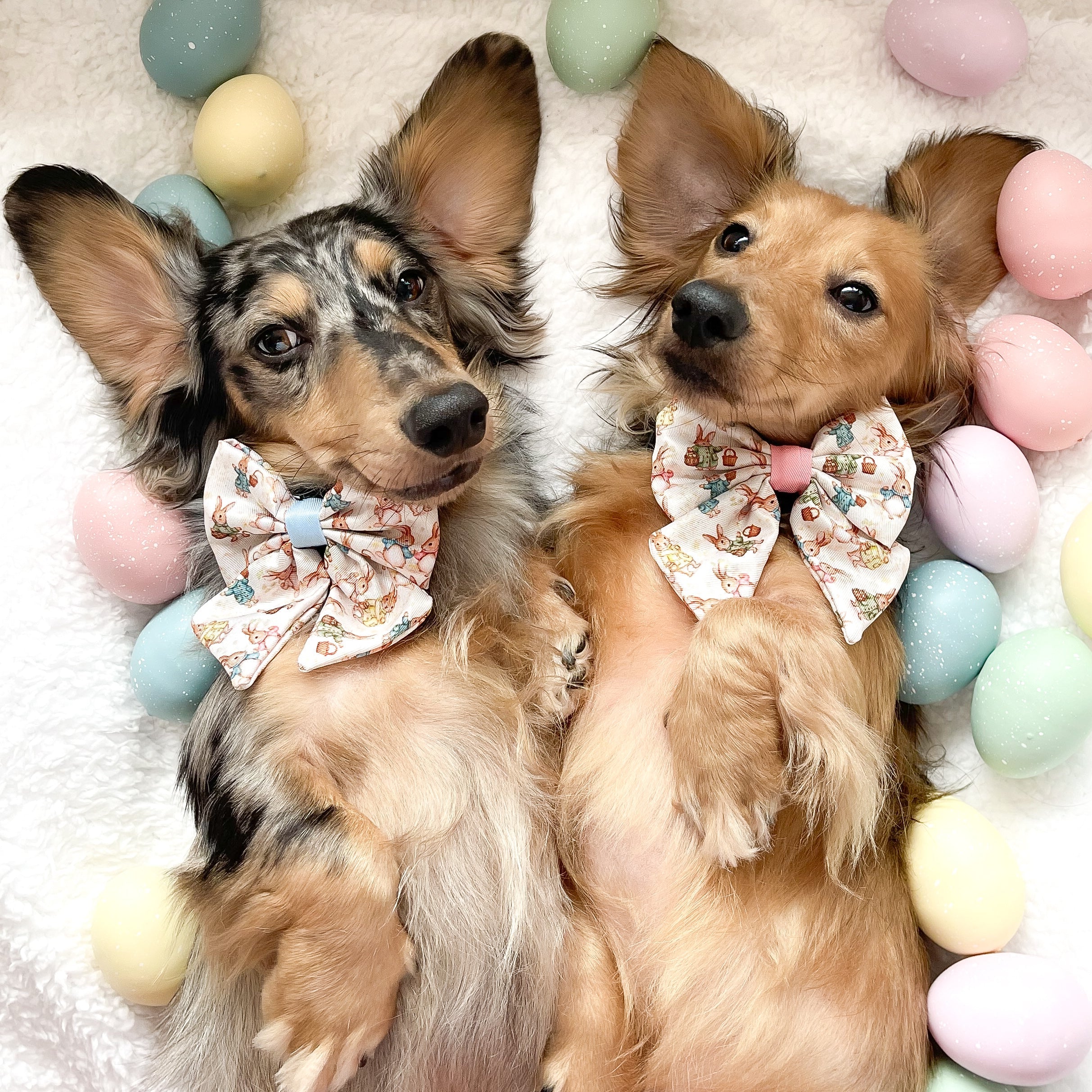 Bunny Tales - Blue, Sailor Bow Tie