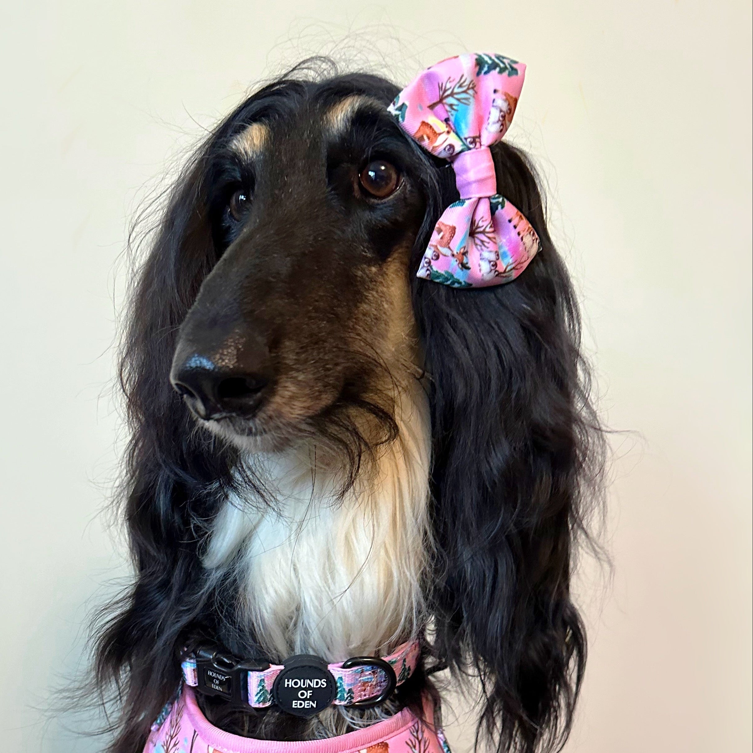 Aurora Nights - Pink Penguin Design Dog Bow Tie