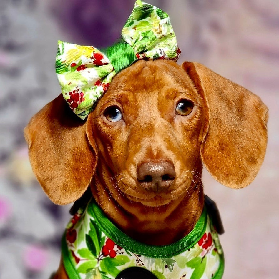 Winter Spruce & Berries Design Dog Bow Tie