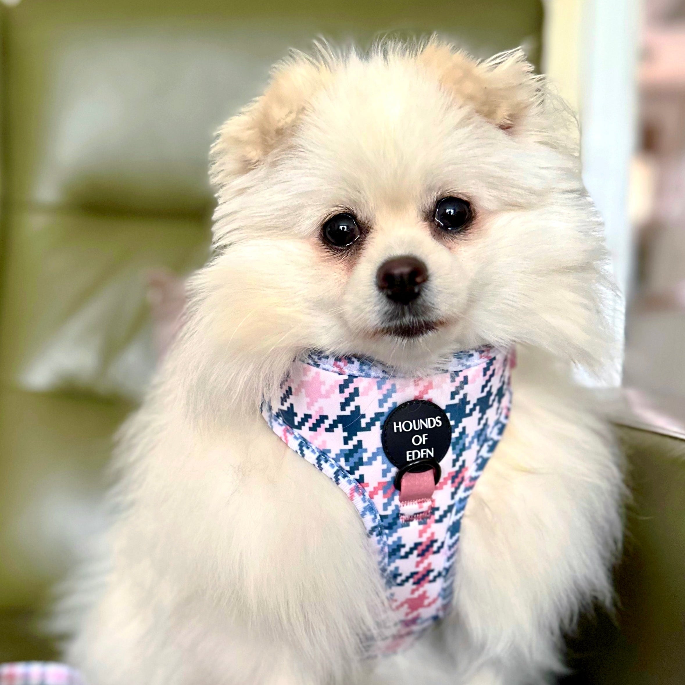 Pink Houndstooth Dog Harness (XXS-XS)