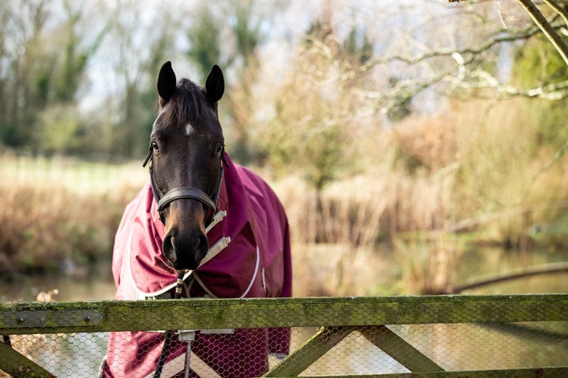 100g Detachable Neck Turnout Rug - Burgundy