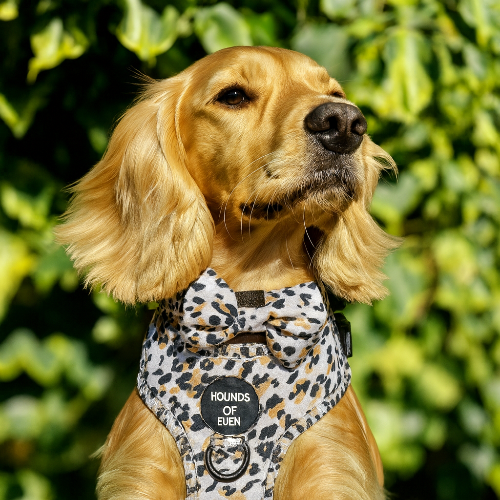 Sage Leopard Design Dog Harness