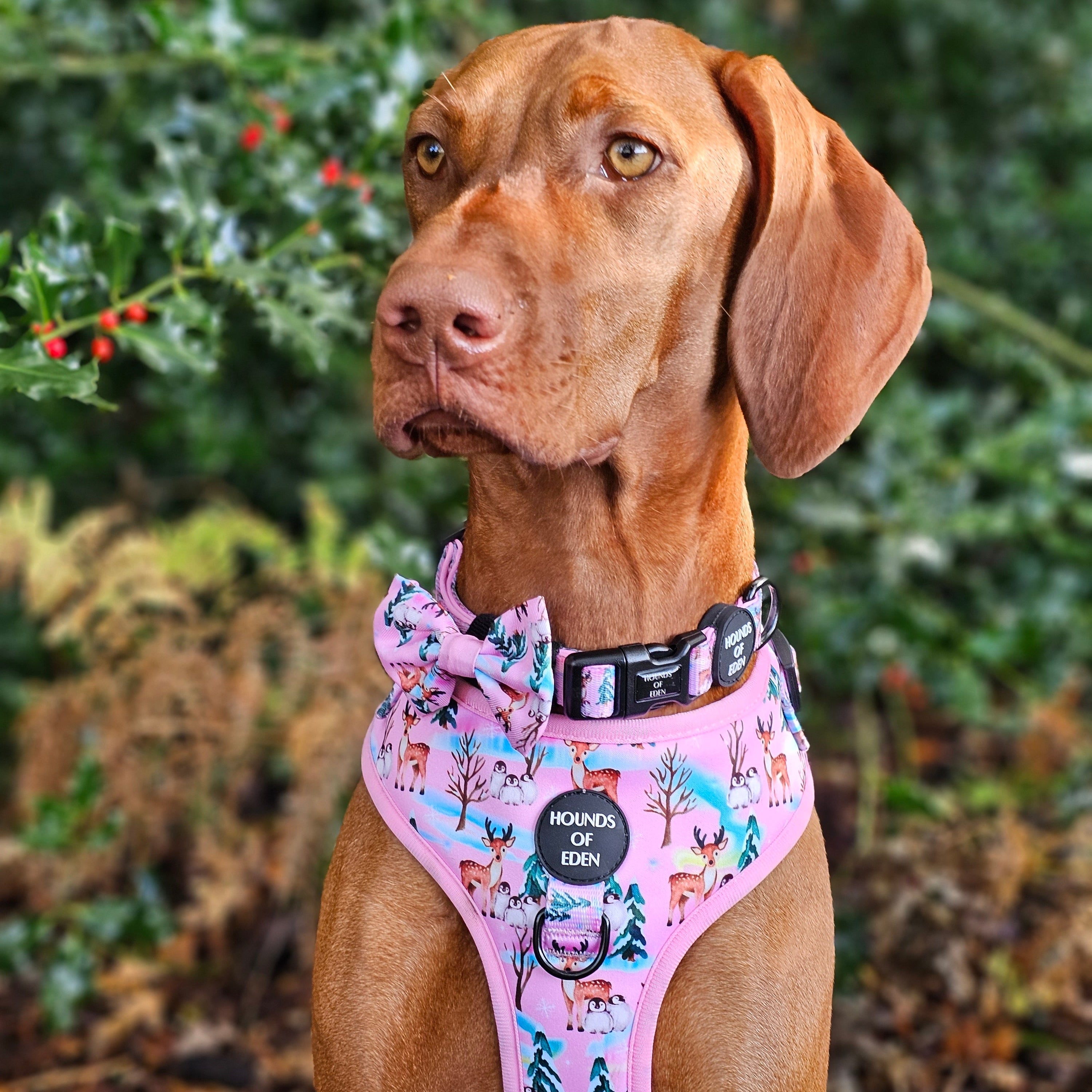 Aurora Nights - Pink Penguin Design Dog Harness