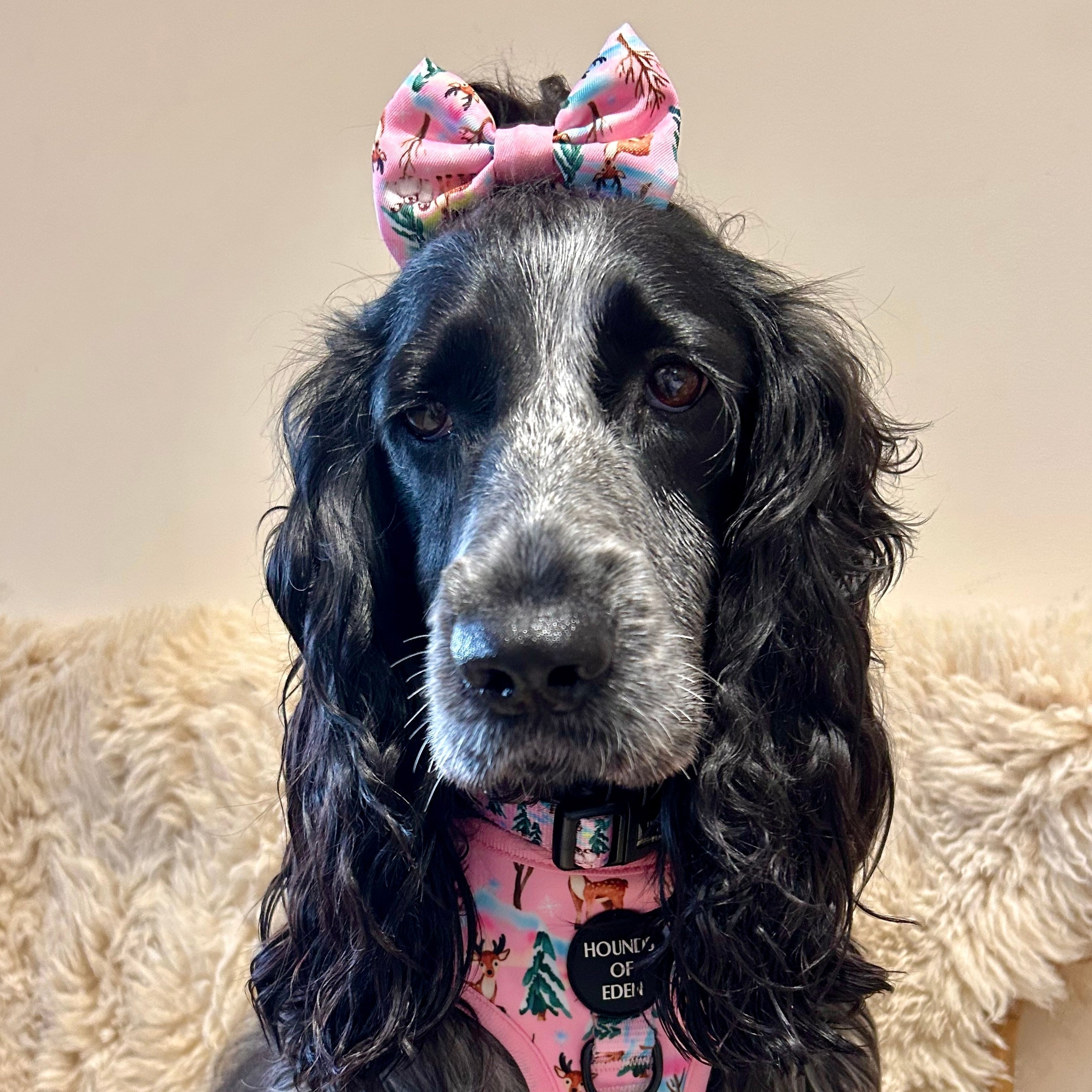 Aurora Nights - Pink Penguin Design Dog Bow Tie