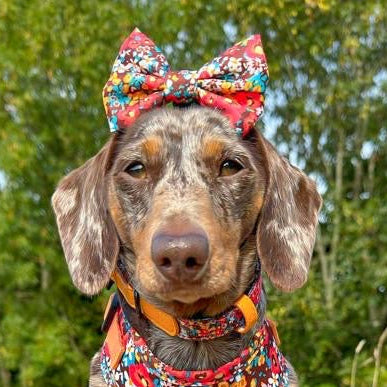 Retro Bloom Leather Dog Collar