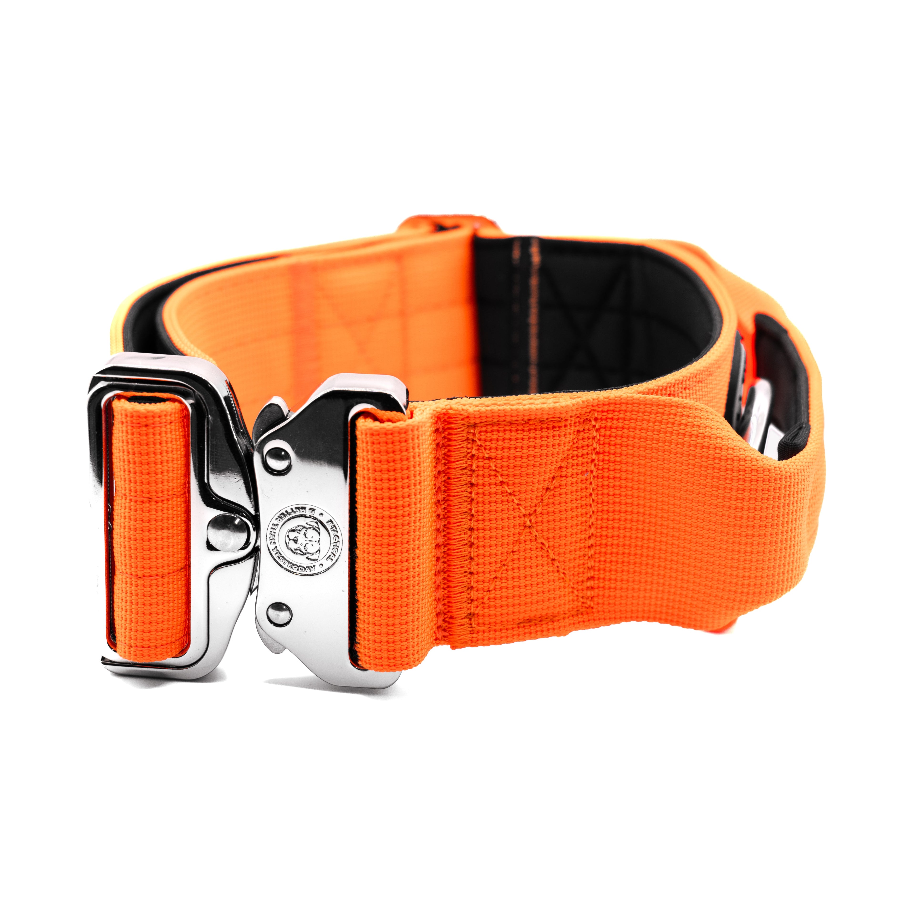 5cm Nylon BTactical™ Collar | Citrus Orange