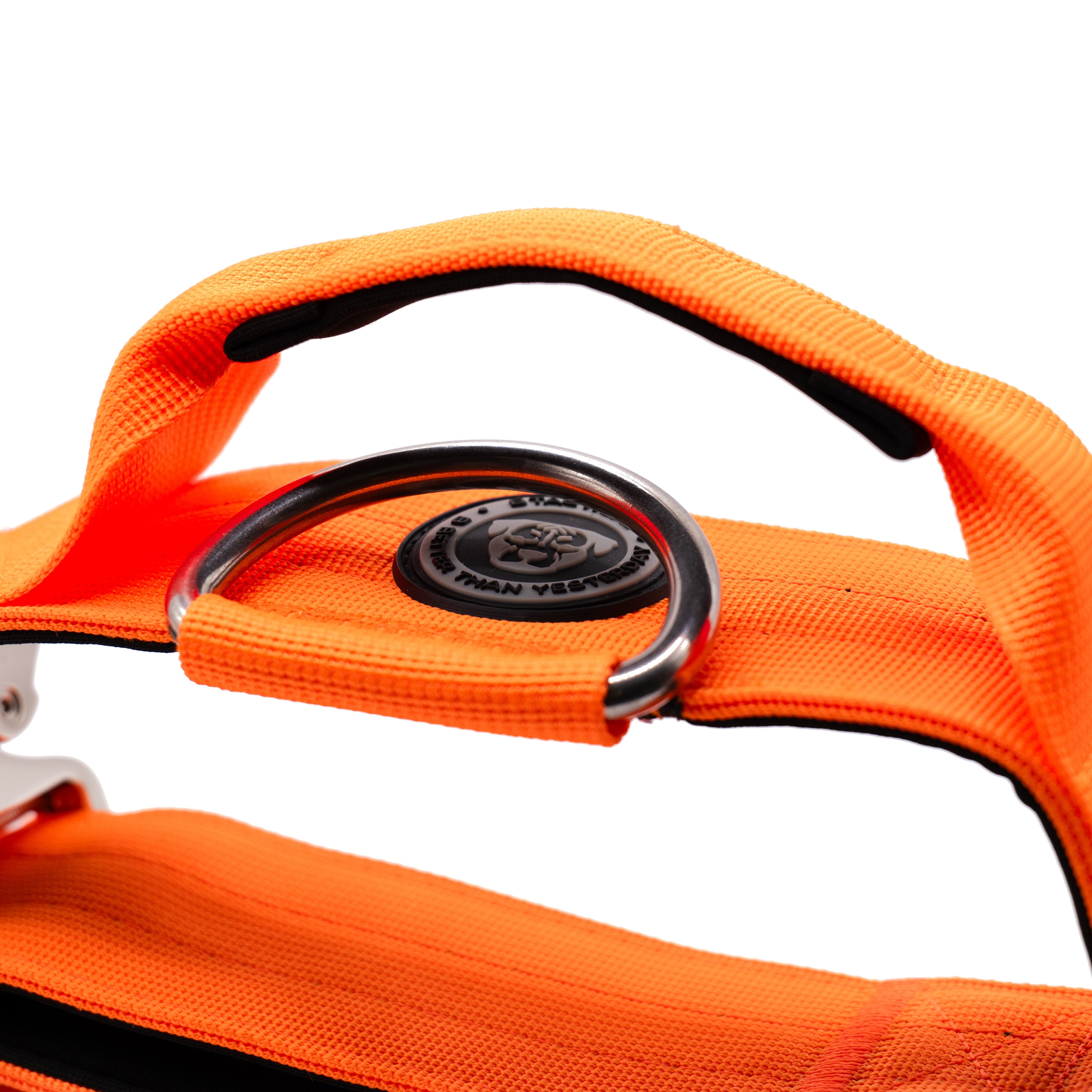 5cm Nylon BTactical™ Collar | Citrus Orange
