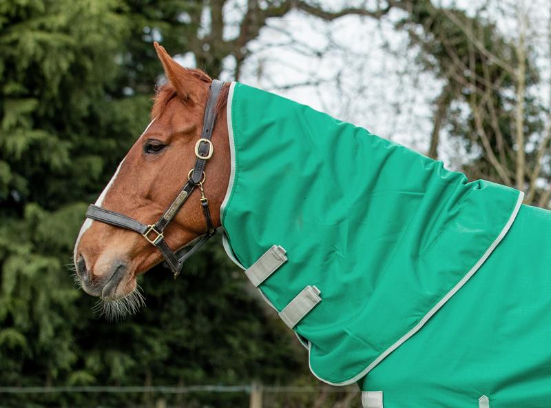 100g Green Turnout Rug Neck Cover