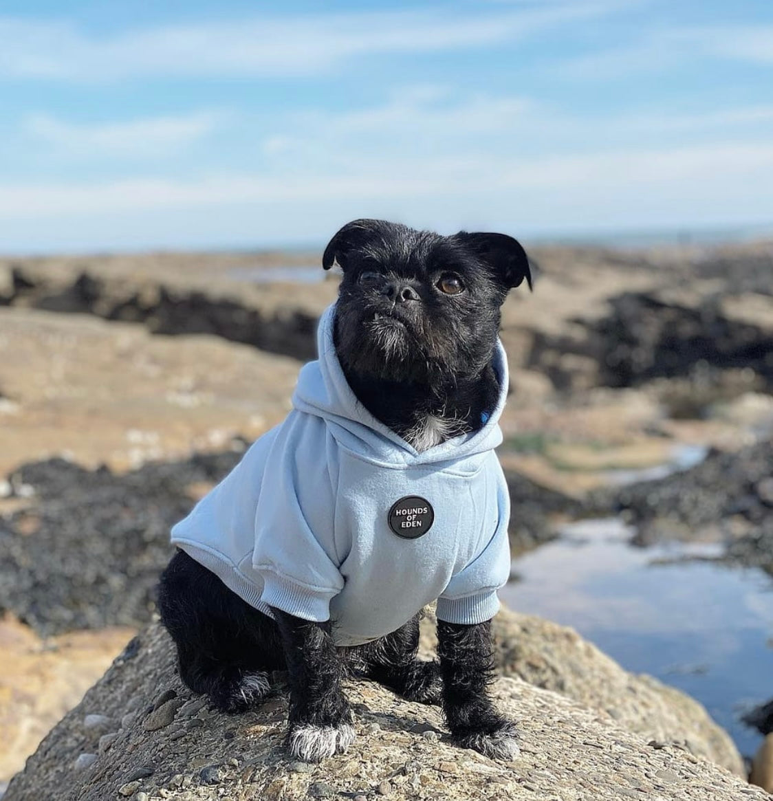 Dog Hoodie - Sky Blue