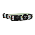 Teddy it's Cold Outside Dog Collar