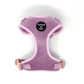 Lilac Dreams - Lilac Velvet Dog Harness with Rose Gold Metal Hardware