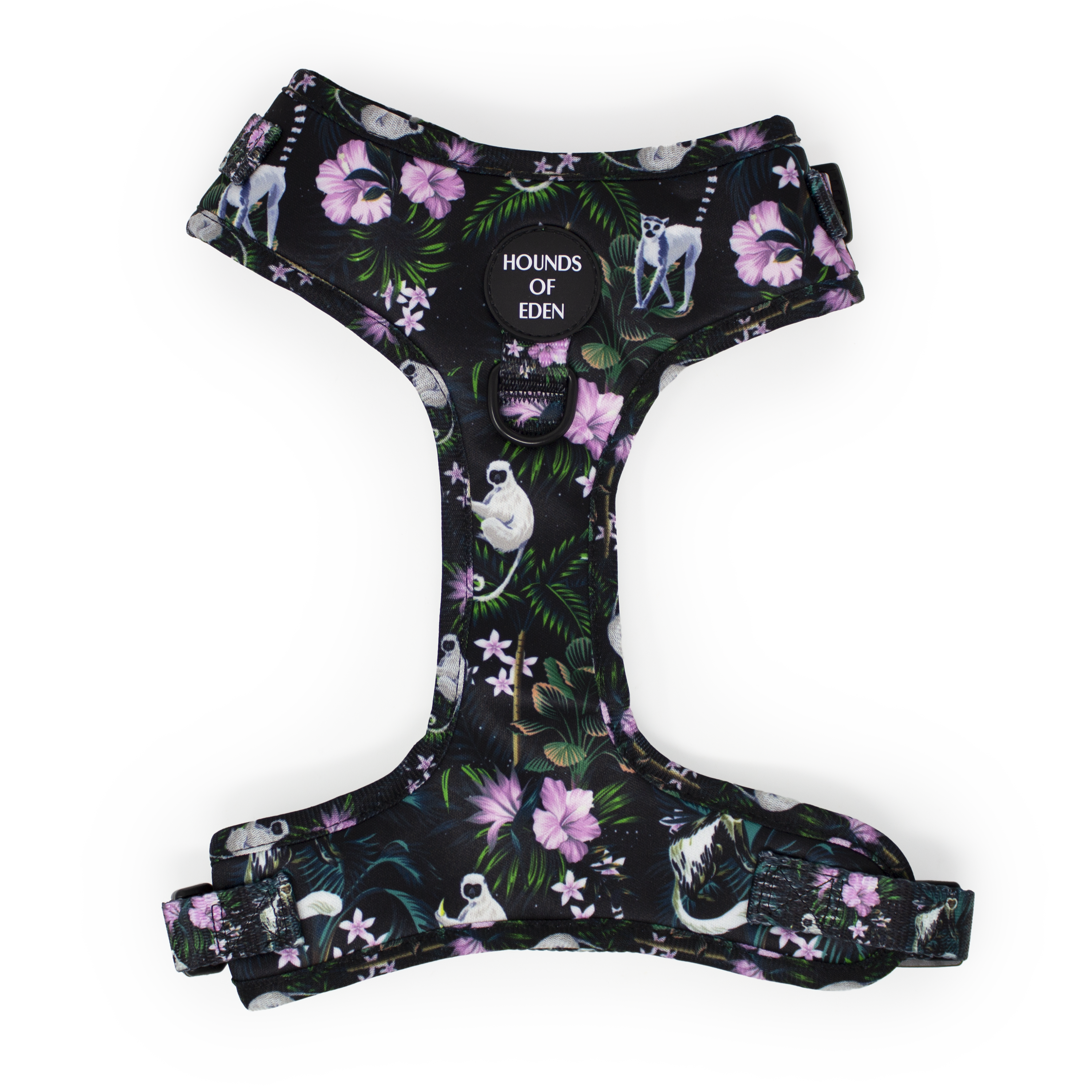 Midnight Madagascar Design Dog Harness