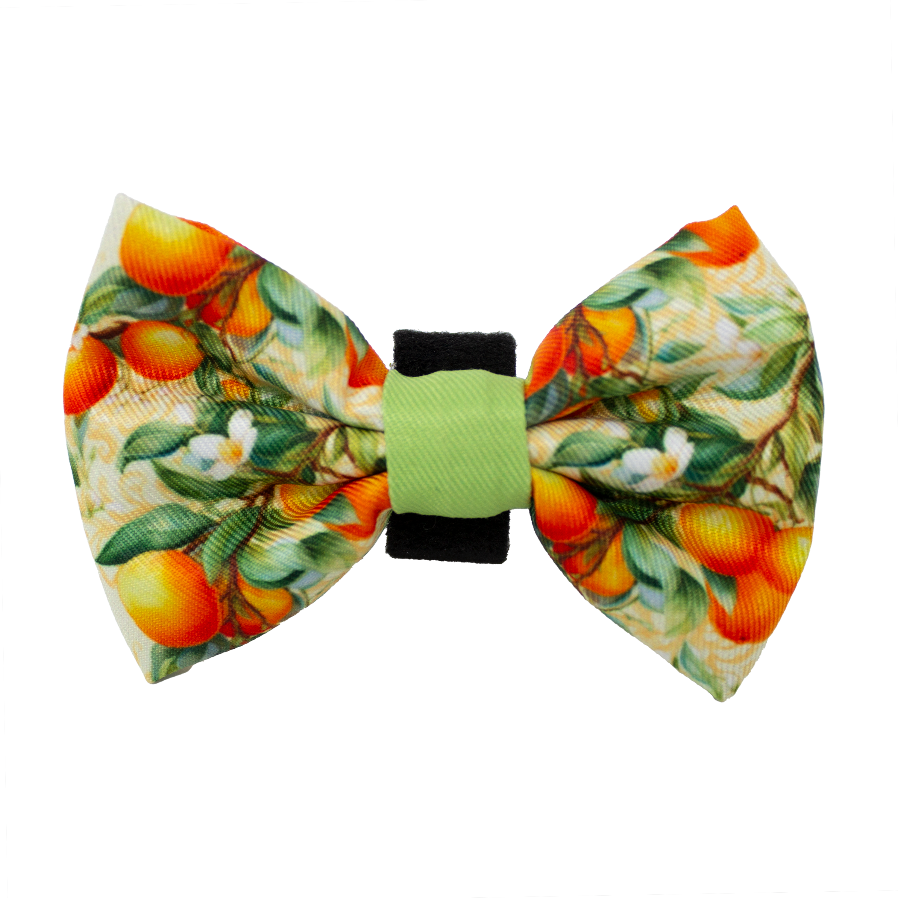 Simply the Zest - Oranges Dog Bow Tie
