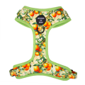 Simply the Zest - Oranges Dog Harness