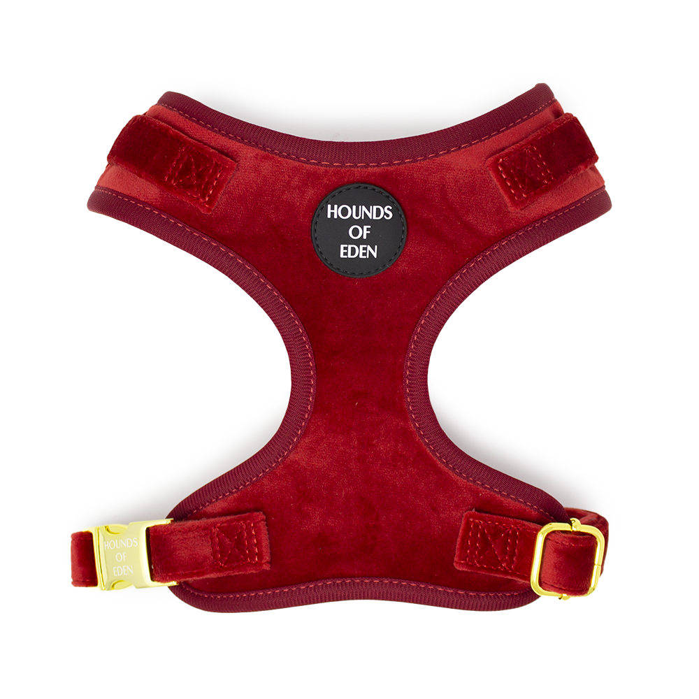Ruby Red Velvet Harness