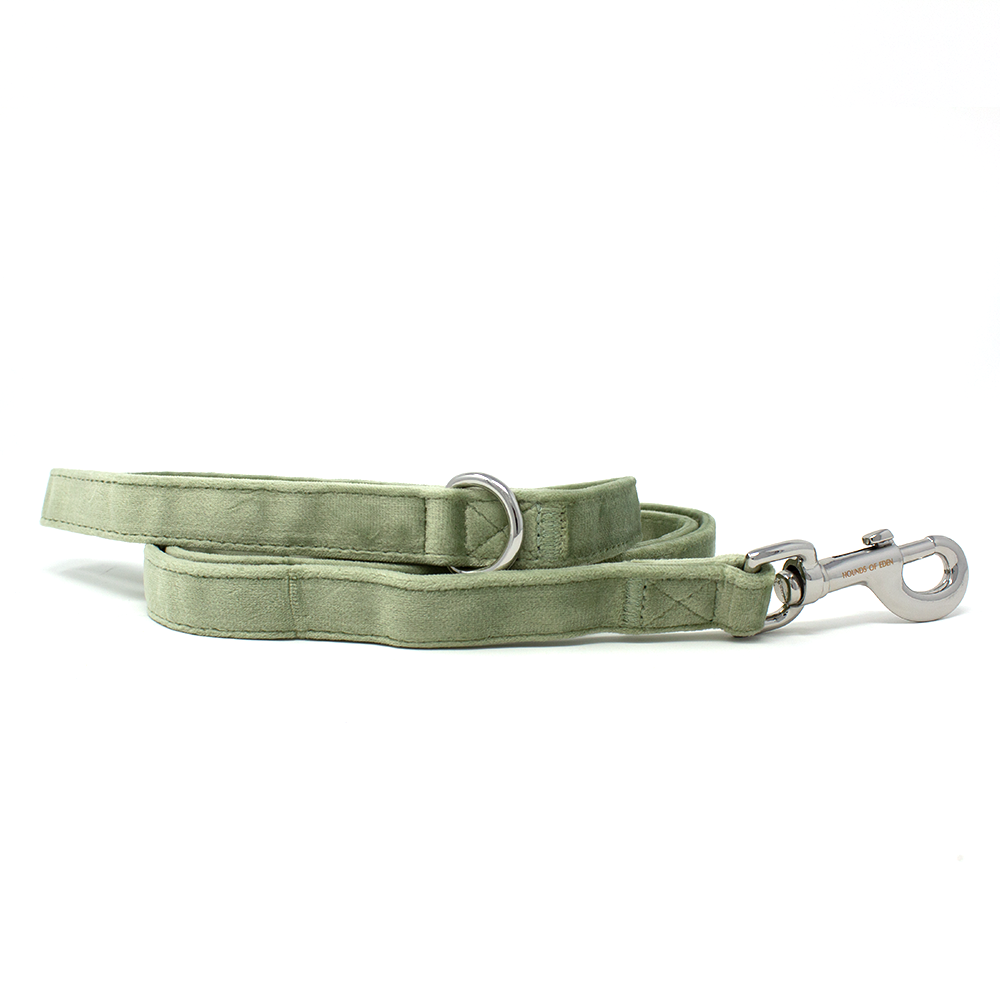 Sage Mist - Green Velvet Dog Lead with Silver Hardware