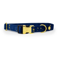 Sapphire Stars Velvet Collar