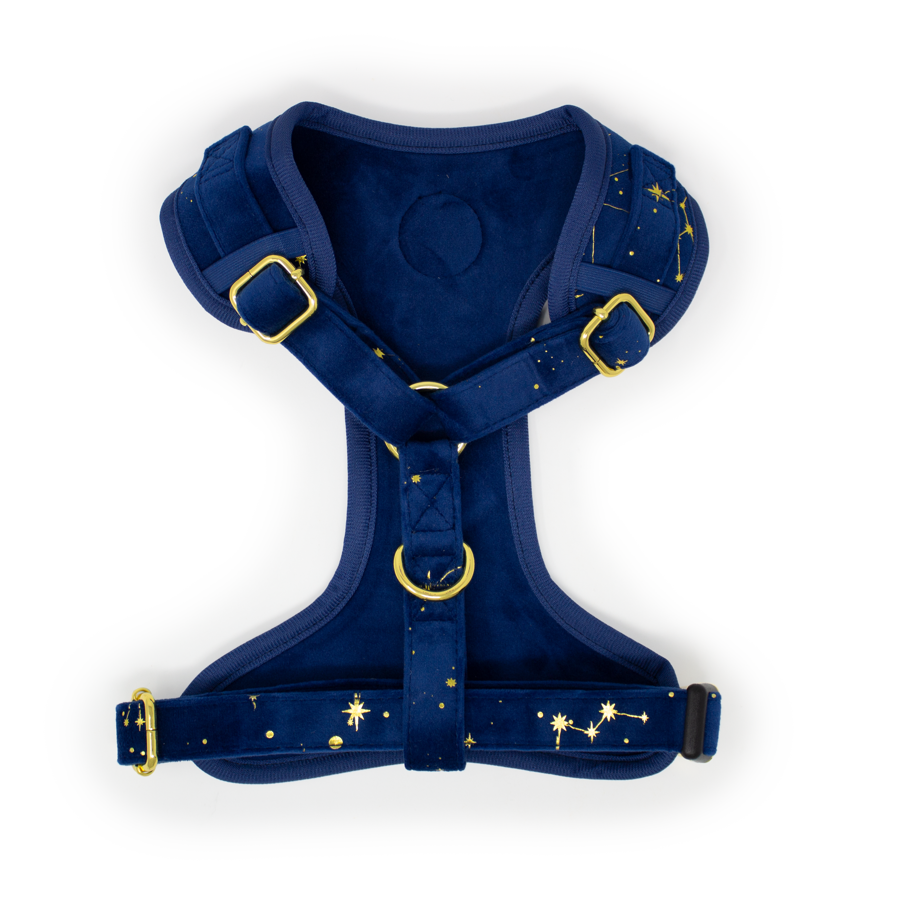 Sapphire Stars Velvet Harness