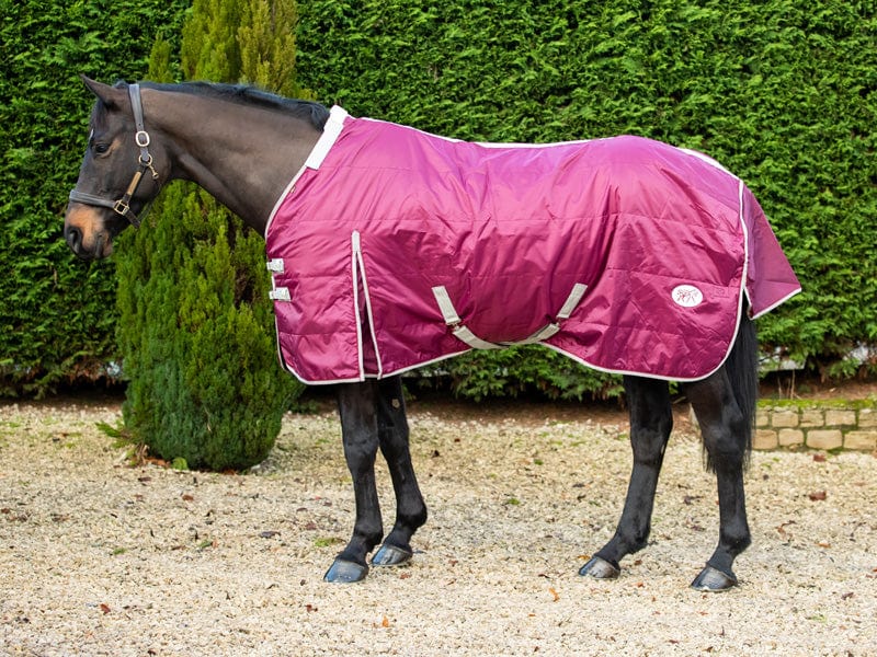 100g Stable Rug With Detachable Neck - Burgundy