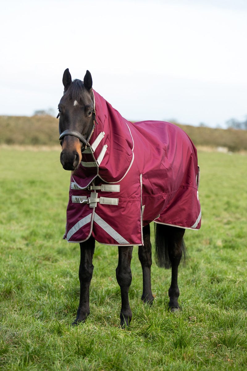100g Detachable Neck Turnout Rug - Burgundy