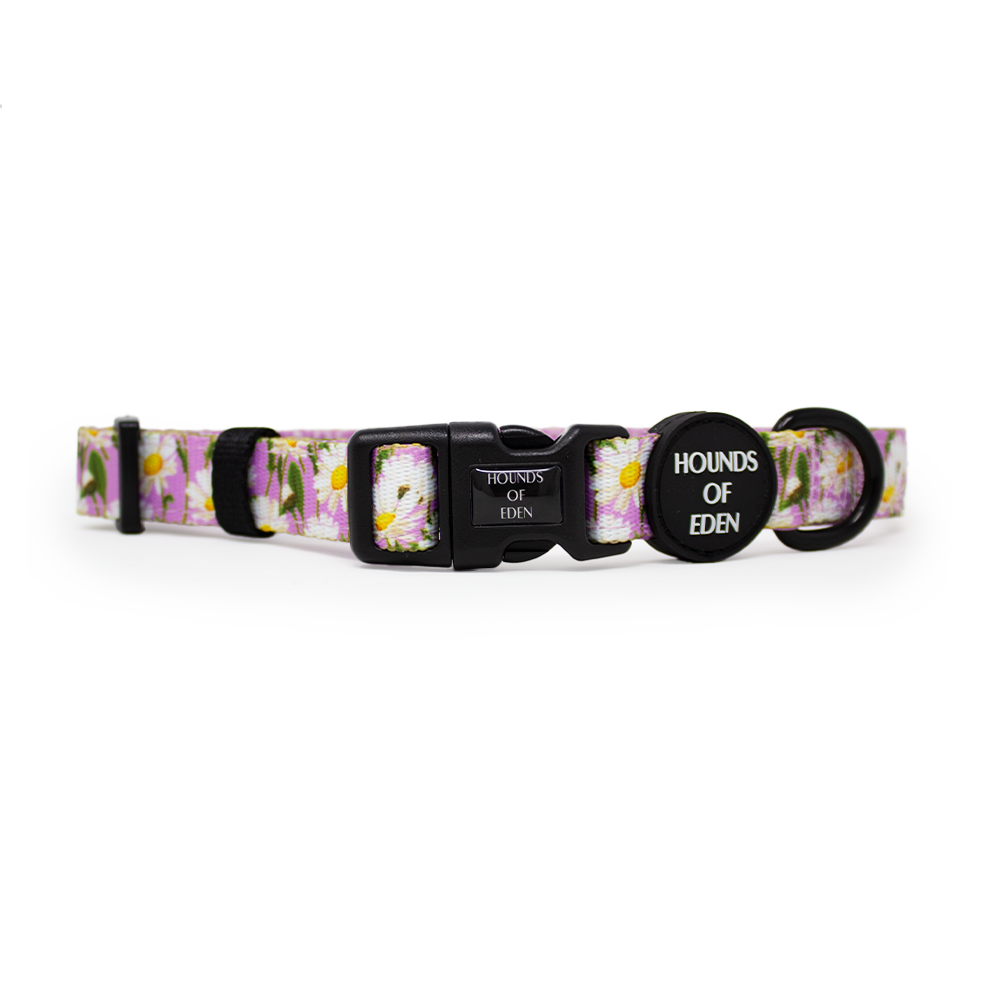 Daisy Dreams Design Dog Collar