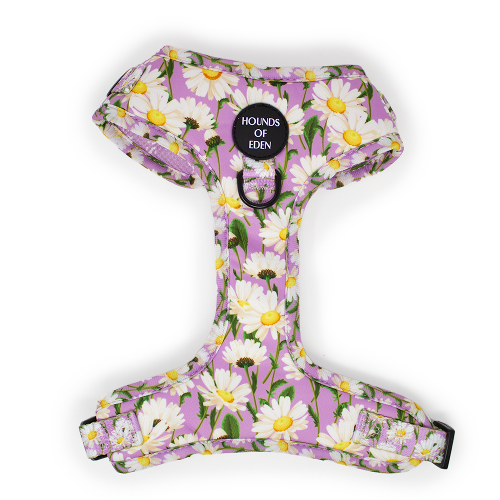 Daisy Dreams Design Dog Harness