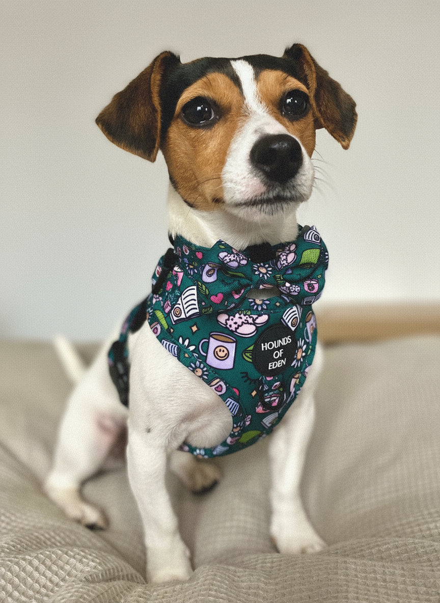 Self Care Design Dog Harness