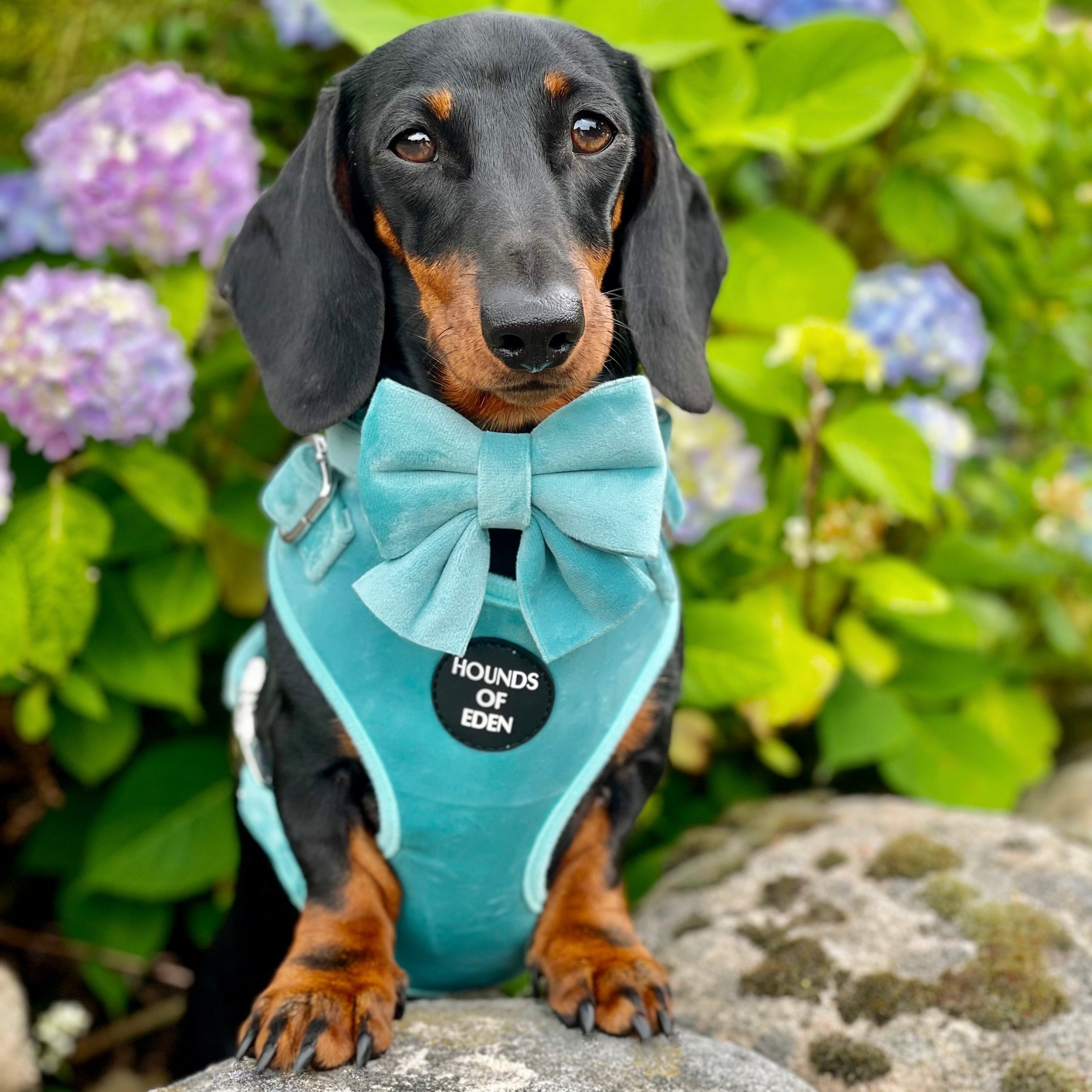 Tiffany's - Light Teal Velvet Bow Tie