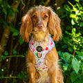 Ziggy's Secret Garden Design Dog Harness
