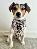 Sage Leopard Design Dog Bow Tie