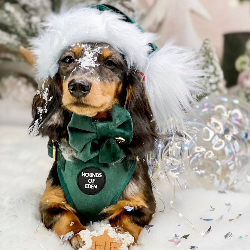 Olive Green Velvet Harness