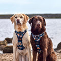 Supaw Strong™ 'Brush It Off' Utility Harness