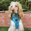Grill 'n' Chill - Dog Bow Tie
