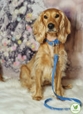 Lichen Blue 'All Weather' Dog Lead