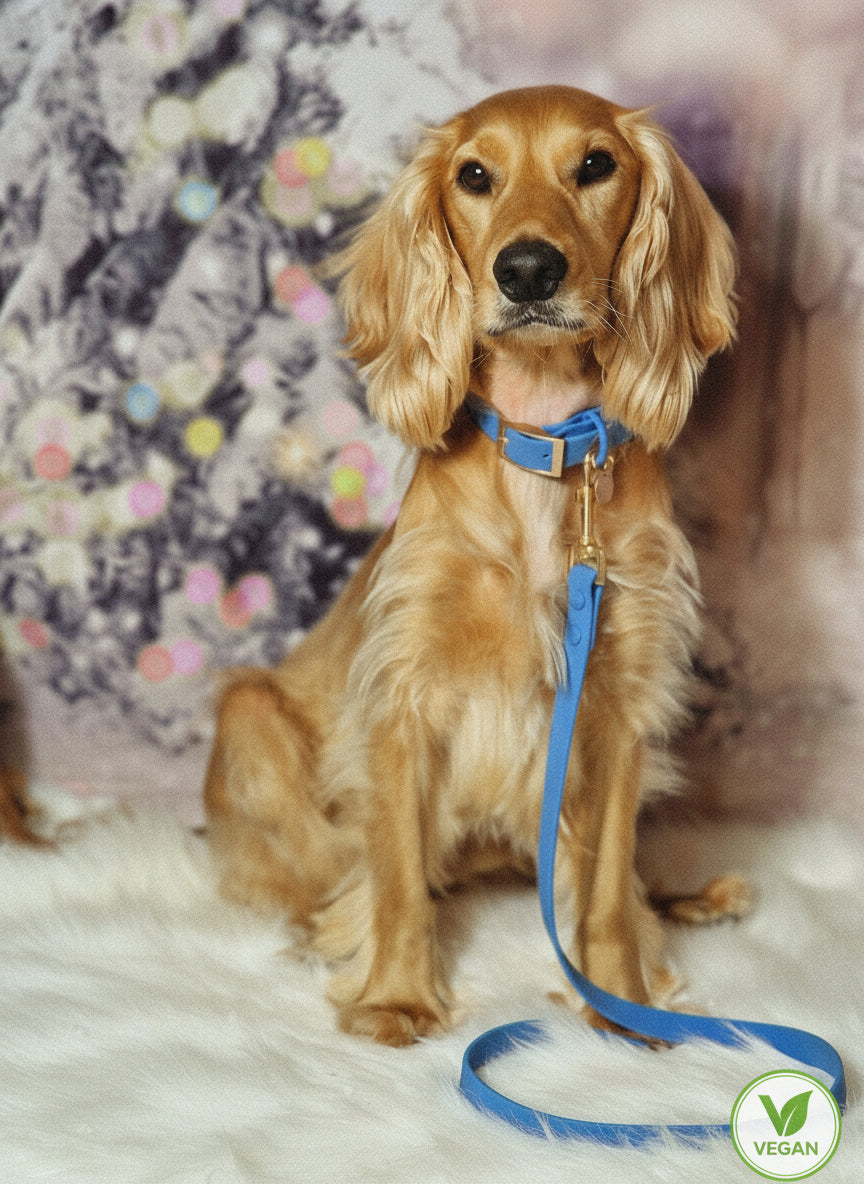 Lichen Blue 'All Weather' Dog Lead