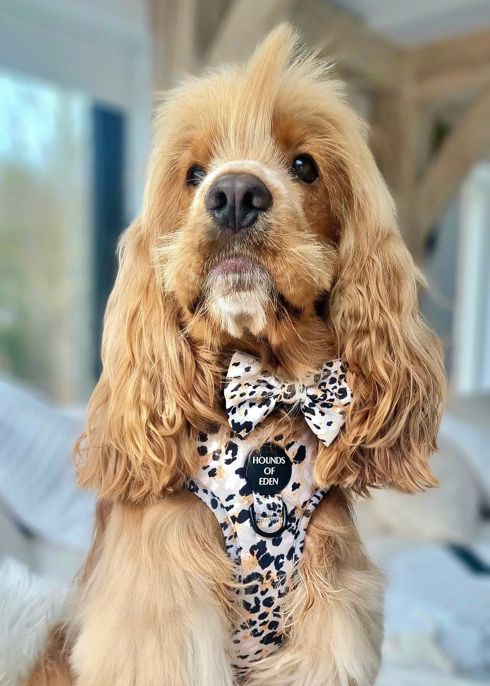 Sage Leopard Design Dog Harness