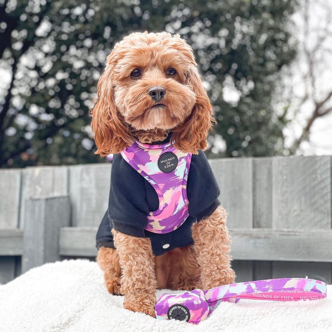 'Blush it Off' - Pink, Purple, Pastel Mint & Lemon Camo Pattern Dog Harness