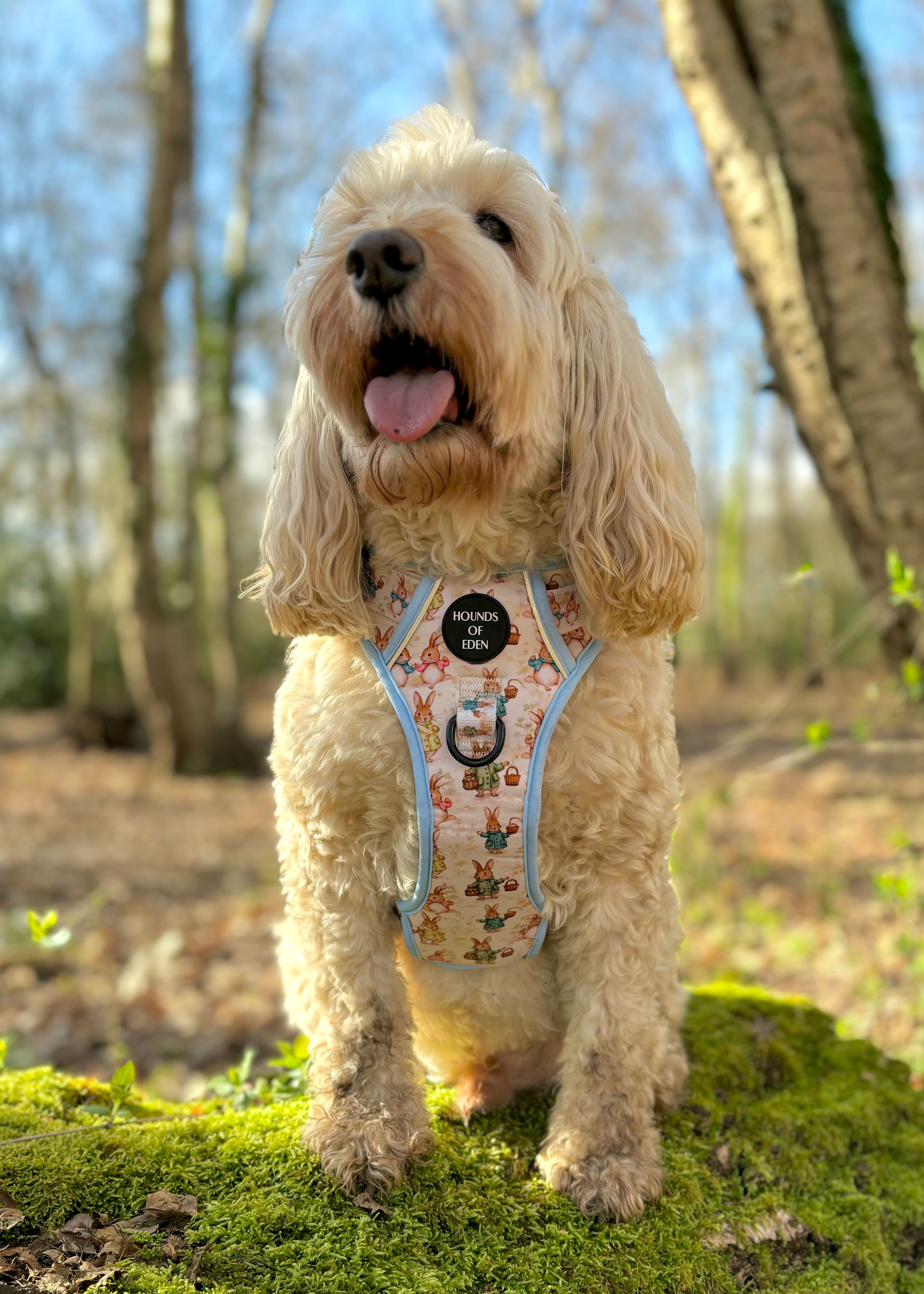 Bunny Tales - Blue, Dog Supaw Strong™ Lite Harness (XS-XL)