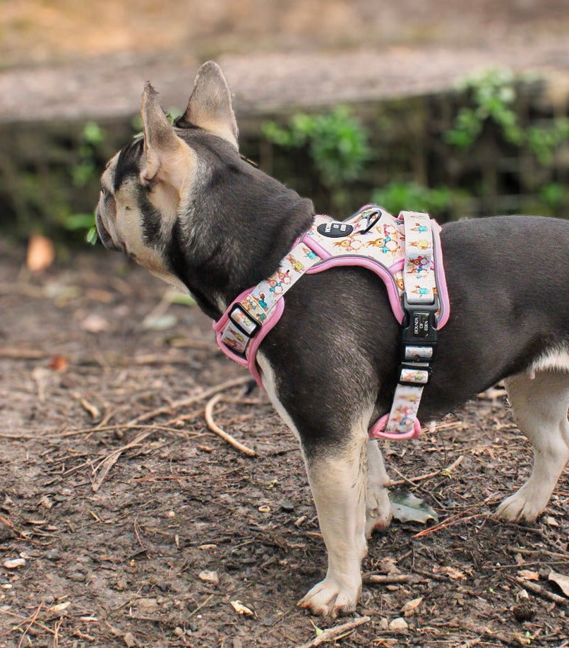 Bunny Tales - Pink, Dog Supaw Strong™ Lite Harness (XS-XL)