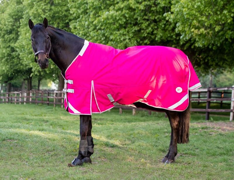 100g Detachable Neck Turnout Rug - Pink