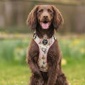 Bunny Tales - Pink, Dog Supaw Strong™ Lite Harness (XS-XL)