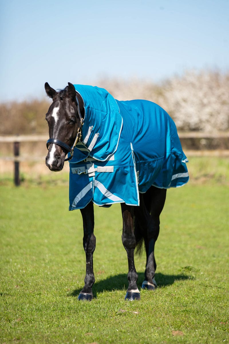 100g Detachable Neck Turnout Rug - Turquoise