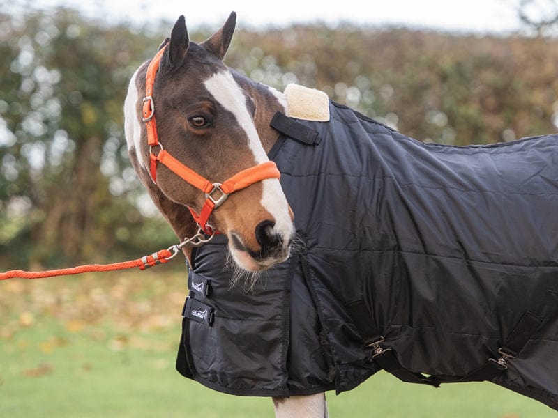WIDE FIT 200g Horse Rug Liner