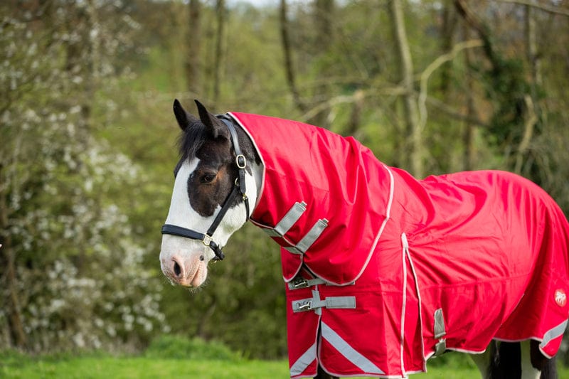 WIDE FIT 50g Detachable Neck Turnout Rug - Red